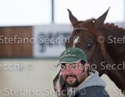 Appio Claudio TosTour2013- S5 2983 : Appio Claudio, Arezzo, Arezzo Equestrian Centre, Cavalli d'Italia, Toscana Tour 2013, foto di Stefano Secchi ©